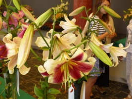 Foto: Dr. Peter Müller